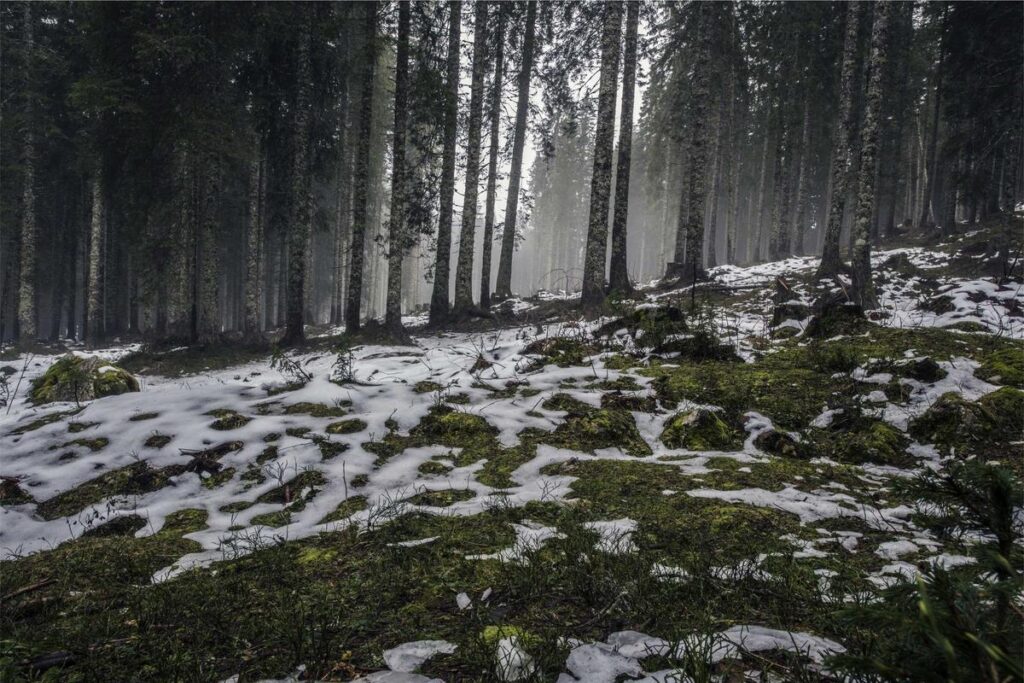 Přenosný, nebo stacionární detektor plynu? Jak vybrat